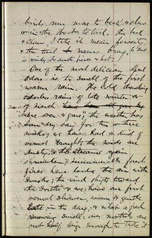 17243-Service File.jpg