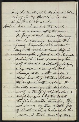 17244-Service File.jpg