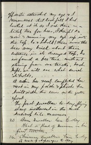 17257-Service File.jpg