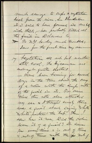 17271-Service File.jpg