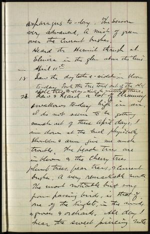 17305-Service File.jpg