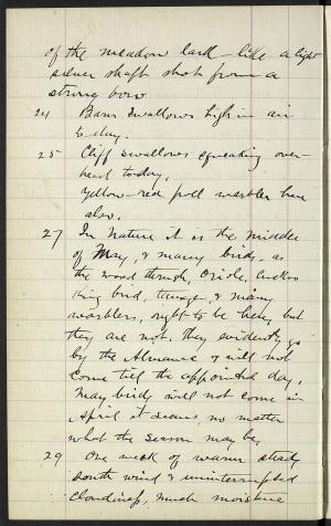 17306-Service File.jpg