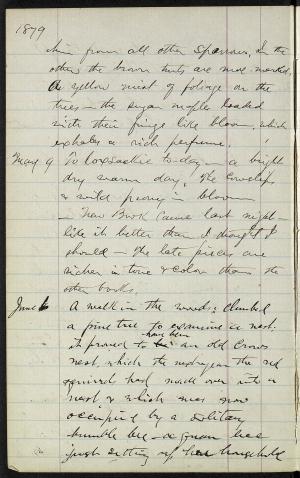 17309-Service File.jpg