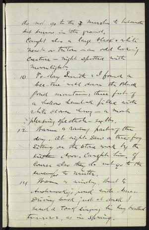 17316-Service File.jpg