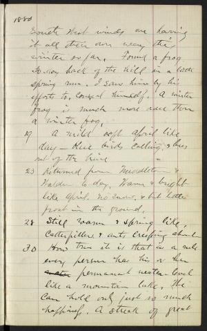 17320-Service File.jpg