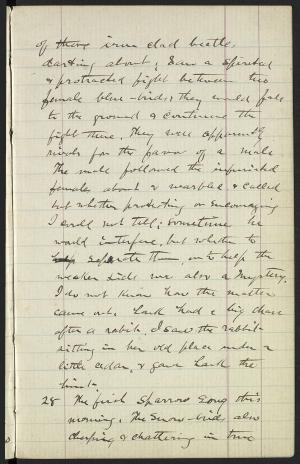 17324-Service File.jpg