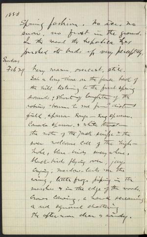 17325-Service File.jpg