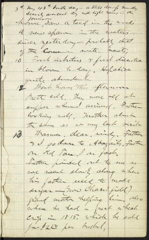 17328-Service File.jpg