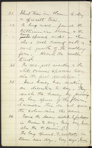 17331-Service File.jpg