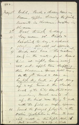 17332-Service File.jpg