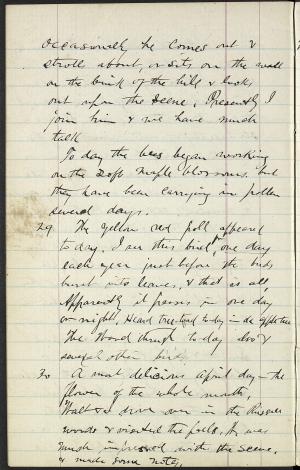 17347-Service File.jpg