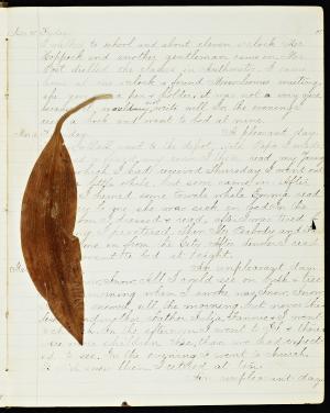 49664-Service File.jpg