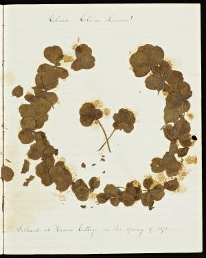 49718-Service File.jpg