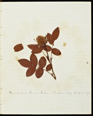 49719-Service File.jpg