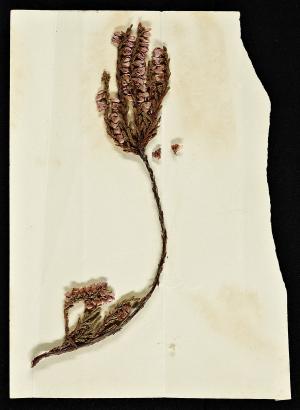 49745-Service File.jpg