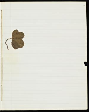 49774-Service File.jpg