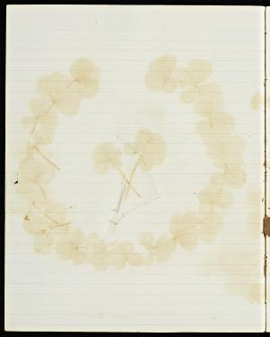 49787-Service File.jpg