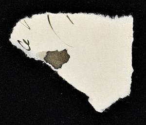 52918-Service File.jpg