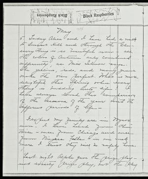 55071-Service File.jpg