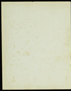 55777-Service File.jpg