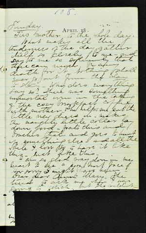 56384-Service File.jpg