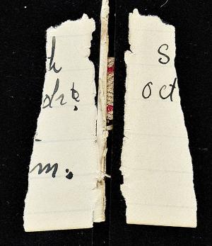 58630-Service File.jpg