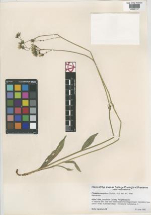 6868-Service File.jpg