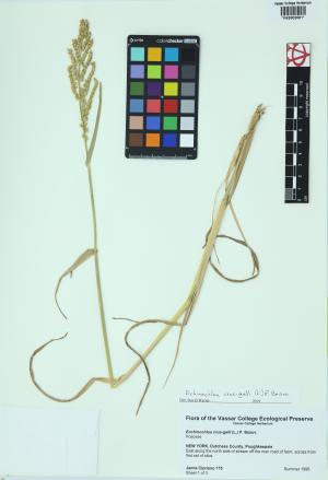9955-Service File.jpg