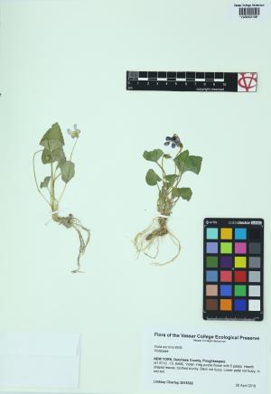 9961-Service File.jpg