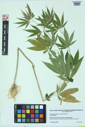 9980-Service File.jpg