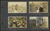 79314-Thumbnail Image.jpg