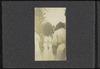 79378-Thumbnail Image.jpg