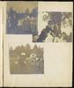 79393-Thumbnail Image.jpg