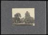 79414-Thumbnail Image.jpg