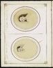 79415-Thumbnail Image.jpg