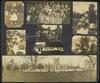 79421-Thumbnail Image.jpg