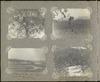 79445-Thumbnail Image.jpg