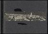 79476-Thumbnail Image.jpg