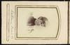 79539-Thumbnail Image.jpg