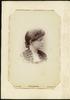 79545-Thumbnail Image.jpg