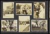 79561-Thumbnail Image.jpg