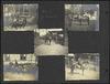 79587-Thumbnail Image.jpg