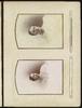 79597-Thumbnail Image.jpg