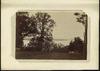 79616-Thumbnail Image.jpg