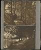 79679-Thumbnail Image.jpg