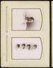 79704-Thumbnail Image.jpg