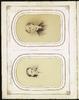 79708-Thumbnail Image.jpg
