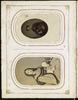 79710-Thumbnail Image.jpg