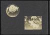 79721-Thumbnail Image.jpg