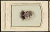 79793-Thumbnail Image.jpg